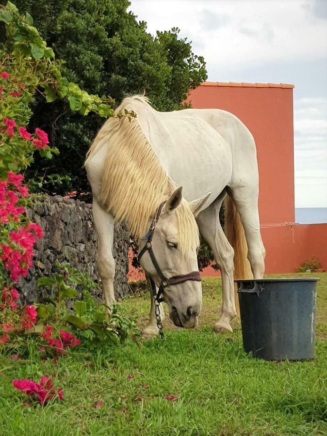 Quinta Da Falesia - Casa Amarela Ponta Delgada  Luaran gambar
