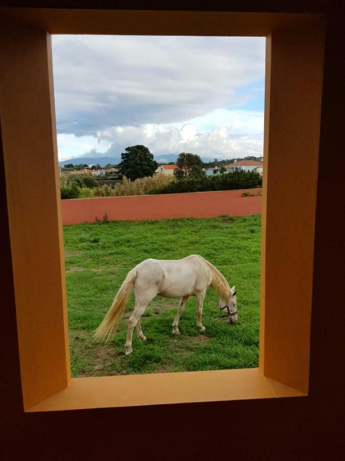 Quinta Da Falesia - Casa Amarela Ponta Delgada  Luaran gambar