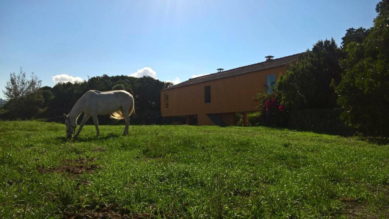 Quinta Da Falesia - Casa Amarela Ponta Delgada  Luaran gambar