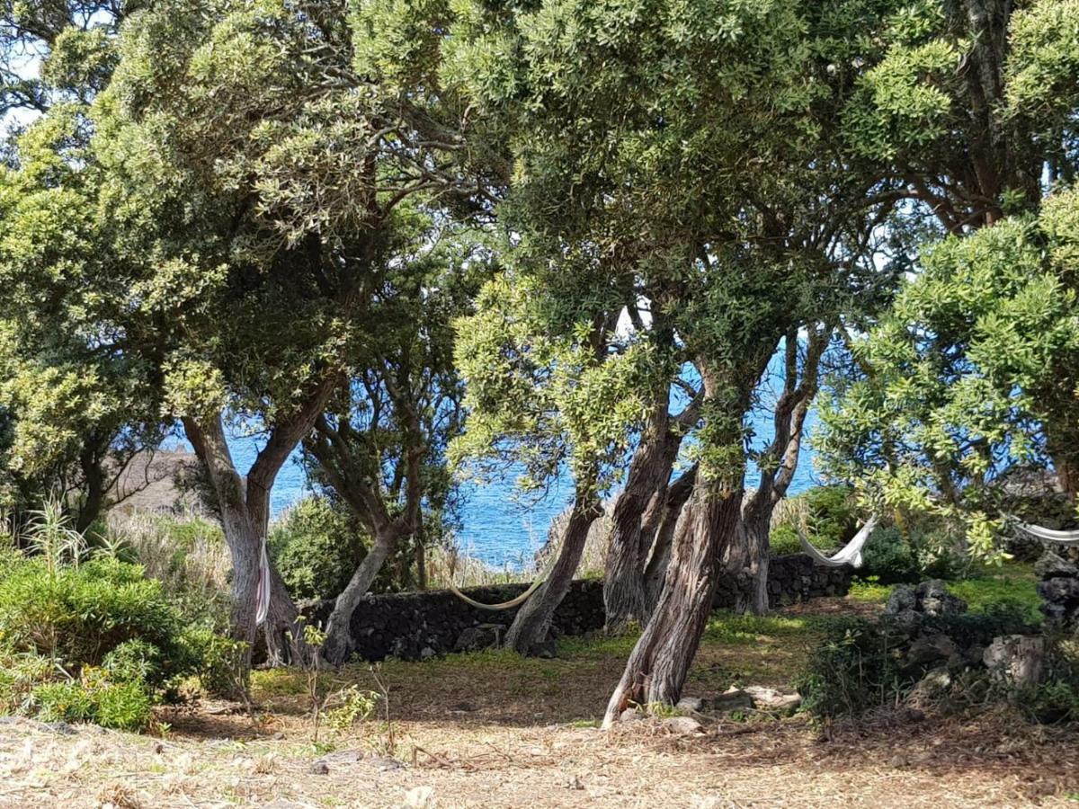 Quinta Da Falesia - Casa Amarela Ponta Delgada  Luaran gambar