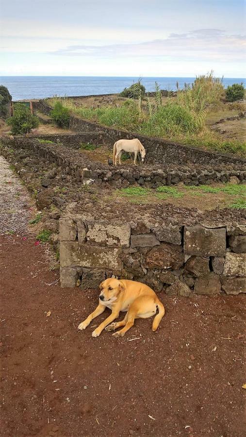 Quinta Da Falesia - Casa Amarela Ponta Delgada  Luaran gambar